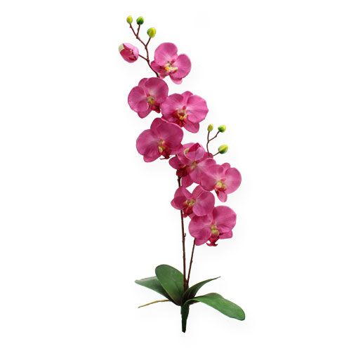 Floristik21 Künstliche Orchidee mit Blättern Pink 68cm