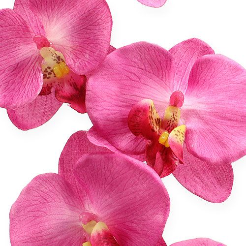 Floristik21 Künstliche Orchidee mit Blättern Pink 68cm