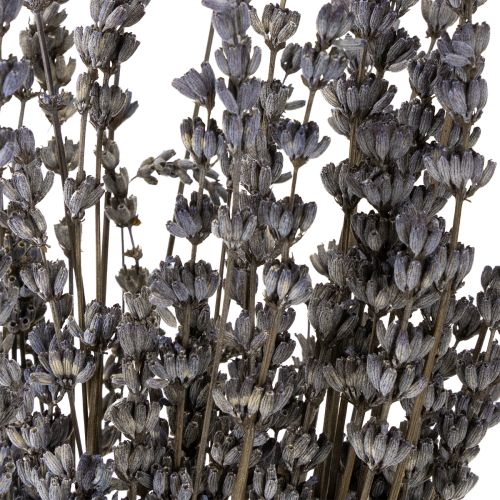 Artikel Lavendel getrocknet Duftende Trockenblumen 35-40cm 50g