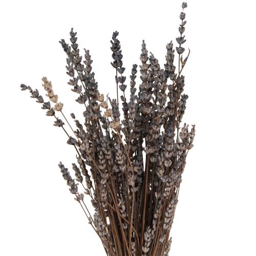 Floristik21 Lavendel getrocknet Duftende Trockenblumen 35-40cm 50g