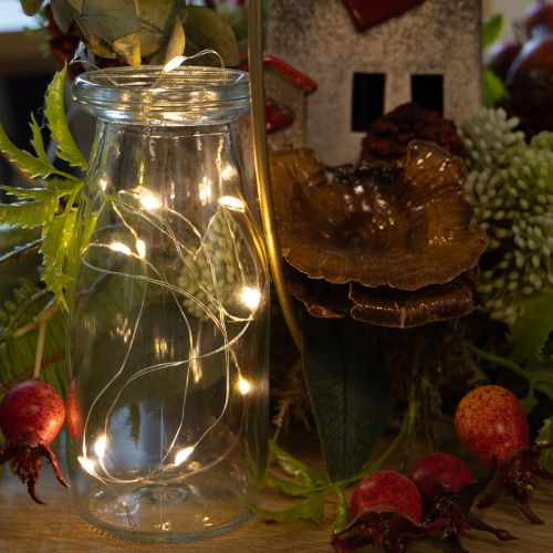 Lichterkette Kunststoff Warmweiß 1m 10 LEDs Batterie Innenbereich | Floristik21.de