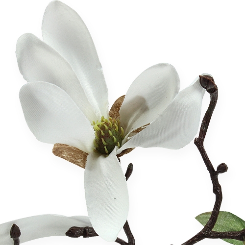 Artikel Deko-Zweig Magnolie 40cm Weiß 4St
