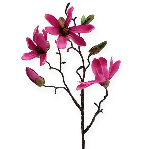 Floristik21 Magnolien Zweig Pink 45cm 4St