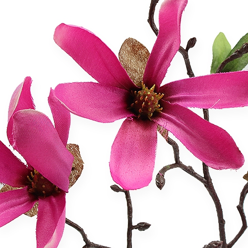 Floristik21 Magnolien Zweig Pink 45cm 4St