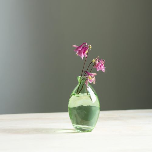 Minivasen Glas Grün bauchig Glasvasen Deko 12cm 6er Set