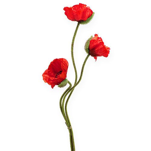 Floristik21 künstliche Mohnblume Rot 70cm 3St