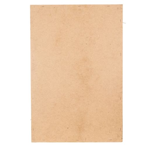 Artikel Moosbild Deko Wandbild Echtes Konserviertes Moos Natürliche Zweige Atmosphärisch 60x40cm