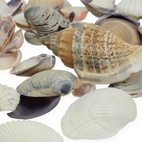 Muschelmix Natur 400g