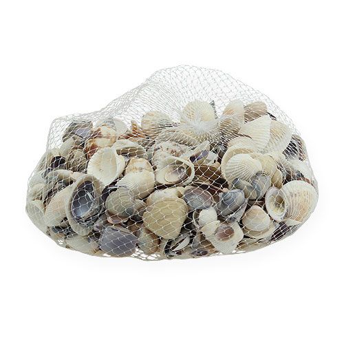 Floristik21 Muschelmix Natur 400g