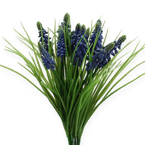 Traubenhyazinthen 28cm - 30cm Blau 15St