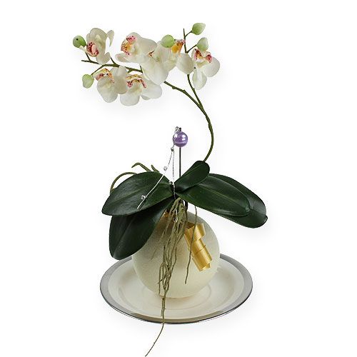 Steckschaum-Kugeln Creme 9cm 4St