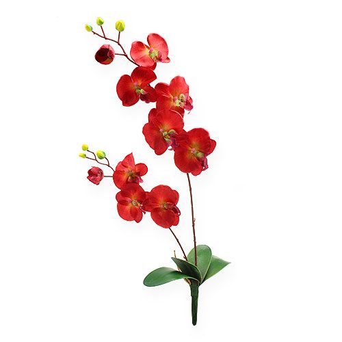 Floristik21 Deko Orchidee Rot 68cm