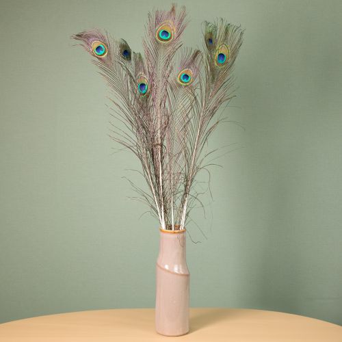 Artikel Pfauenfedern Natur für Dekorationen 75-85 cm – 8 Stück