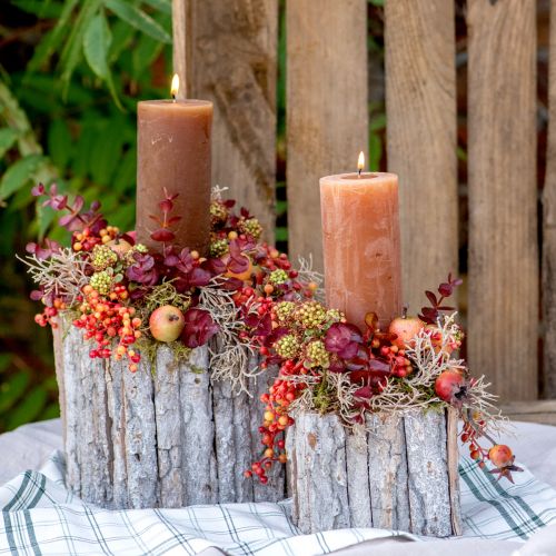 Floristik21 Pflanzkasten Holz mit Rinde Natur Weiß 17/24cm Set aus 2St