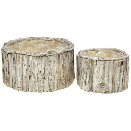 Floristik21 Pflanzkasten Holz Rund Rinde Natur Weiß 26/18cm Set aus 2St