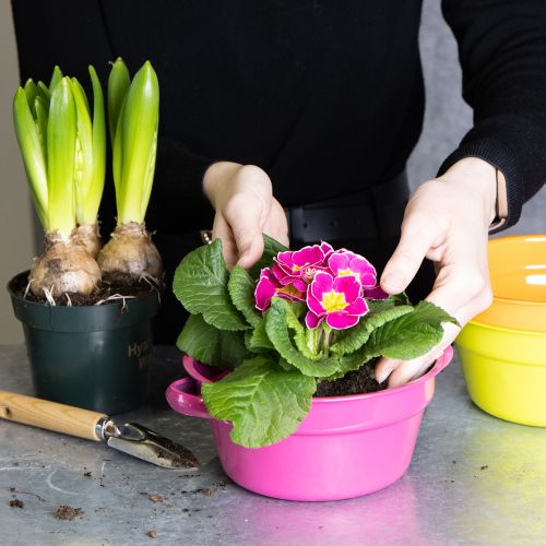 Artikel Pflanzschalen Metall 17cm bunt mit Henkeln 3er Set robust für Indoor & Outdoor