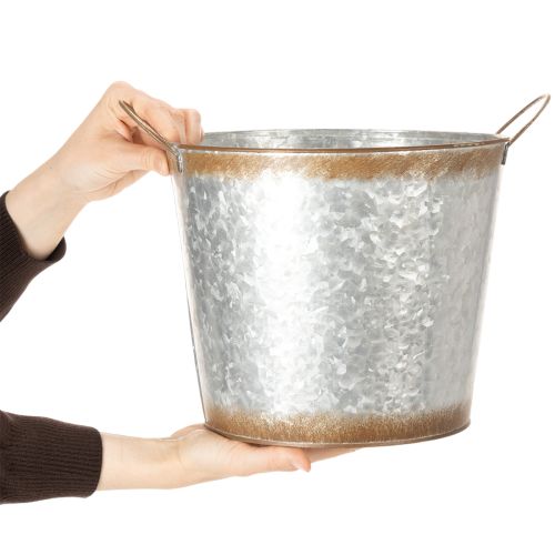 Pflanztopf mit Griffen, Deko-Schale Rostdeko, Metallgefäß Silbern Ø26cm H25,5cm | Floristik21.de