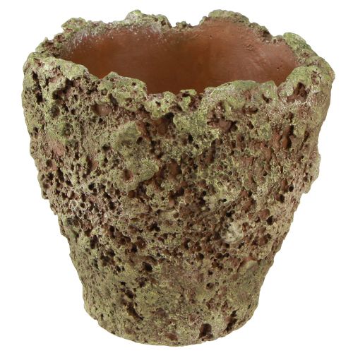 Floristik21 Pflanztopf rustikal Übertopf Moos-Optik Ø17cm H16,5cm 4St