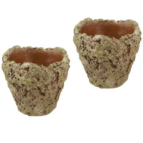 Artikel Pflanztopf rustikal Wald Optik Übertopf Ø12,5cm H12cm 6St