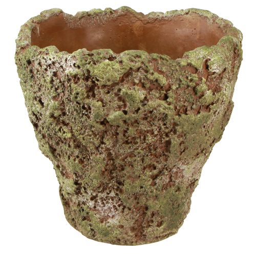 Floristik21 Pflanztopf Rustikaler Übertopf Grün Braun Ø21cm H19,5cm