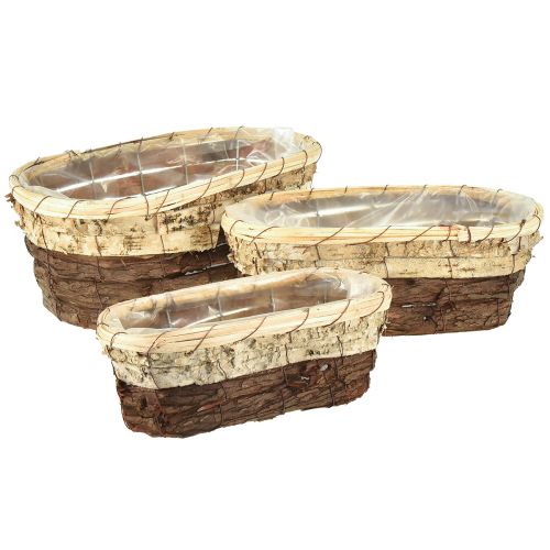 Floristik21 Pflanzwanne Holz Natur 3-farbig L29,5/25/23cm 3er-Set