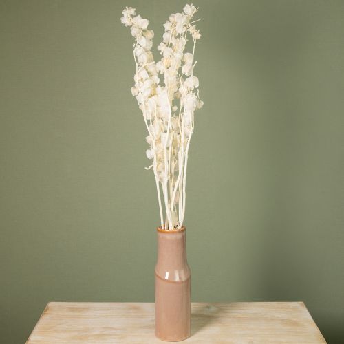 Artikel Getrocknete Physalis gebleicht 75–80 cm für edle Dekorationen 100g