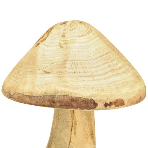 Floristik21 Natürlicher Deko-Pilz Ulmenholz 27cm Holzdeko Herbst Deko-Idee