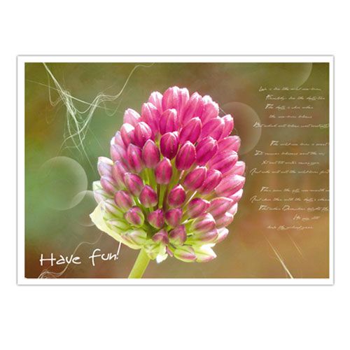 Floristik21 Postkarten mit Blumenmotiven sort. 4St