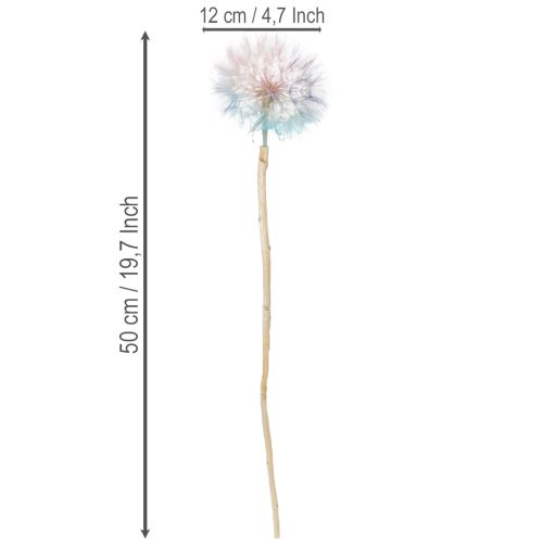 Artikel Pusteblume Trockenblume Wiesenbocksbart 12cm Stabilisiert Innenbereich 4 Stück