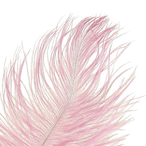 Artikel Straußenfedern Rosa 20-25cm Echt Dekoration Hochzeit Tischdeko 12 Stück