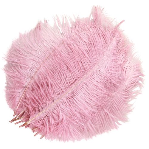 Artikel Straußenfedern Rosa 20-25cm Echt Dekoration Hochzeit Tischdeko 12 Stück