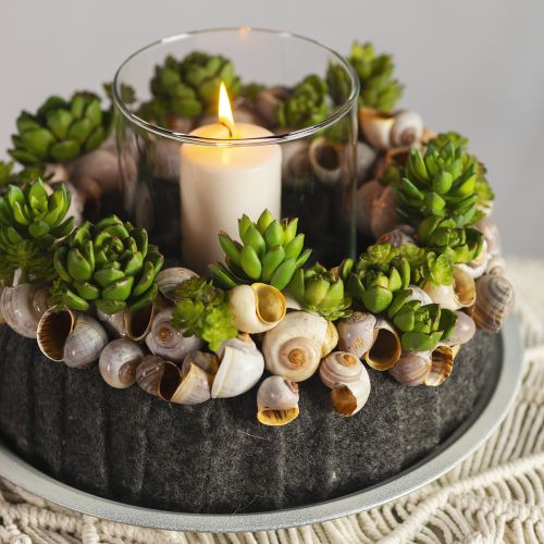 Artikel Sukkulente Echeveria Künstliche Grünpflanze Grün Ø5,5cm 12,5cm