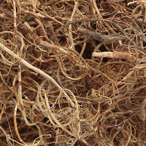 Artikel Deko Faser Tamarind Fibre Natur Bastelmaterial Naturfaser 500g