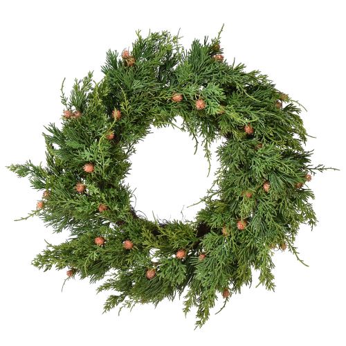 Floristik21 Tannenkranz Thuja mit Knospen Basis Rebenkranz Ø50cm ideal für festliche Dekoration