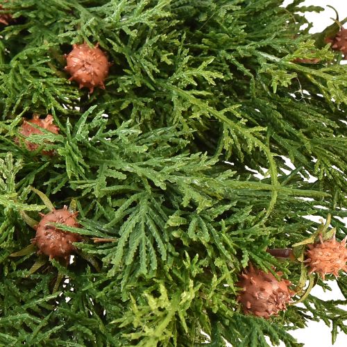 Floristik21 Tannenkranz Thuja mit Knospen Basis Rebenkranz Ø50cm ideal für festliche Dekoration