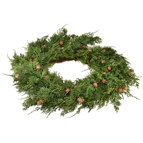 Floristik21 Tannenkranz Thuja mit Knospen Basis Rebenkranz Ø50cm ideal für festliche Dekoration