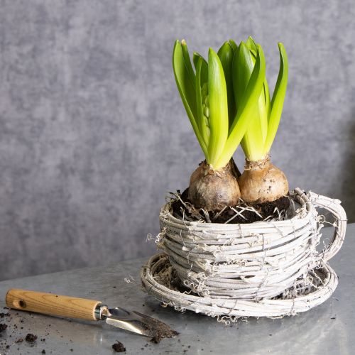 Artikel Rustikale Teetasse aus geflochtener Weide in Weiß-Grau, 13 cm, dekorativ und vielseitig