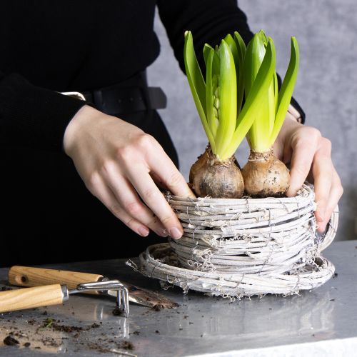 Artikel Rustikale Teetasse aus geflochtener Weide in Weiß-Grau, 13 cm, dekorativ und vielseitig