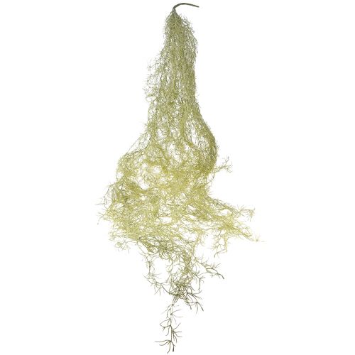 Artikel Künstliche Tillandsie Grün Weiß 180cm – Naturgetreue Deko-Hängepflanze für stilvolle Akzente