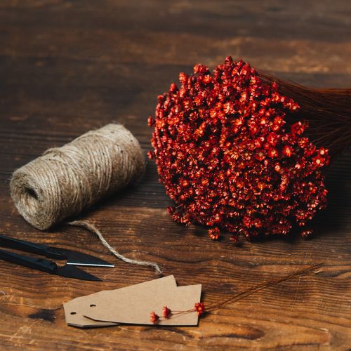 Artikel Trockenblumenstrauß 44cm rot-natur aus Glixia und Gräsern für stilvolle Deko und DIY