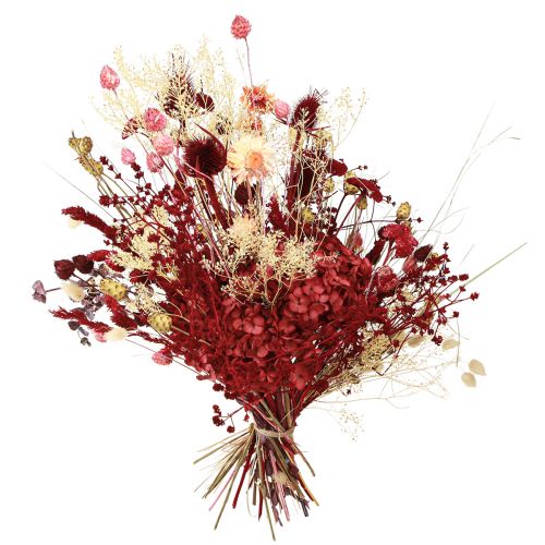 Artikel Trockenblumenstrauß Distel in Weinrot 40cm – Elegante, langlebige Deko für Events & Räumlichkeiten