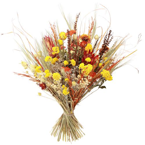 Artikel Trockenstrauß mit Distel und Schafgarbe Orange Gebleicht 55cm 150g