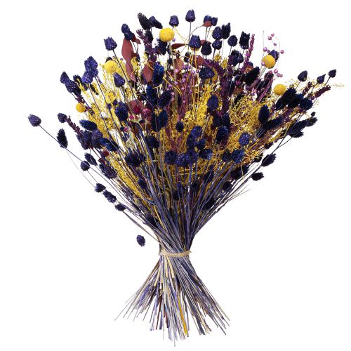 Artikel Trockenstrauß Gelb Lila Grün mit Craspedia & Eukalyptus 53cm 150g