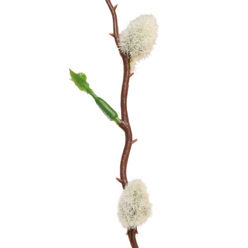 Floristik21 Weidenkätzchen Zweig künstlich 92cm