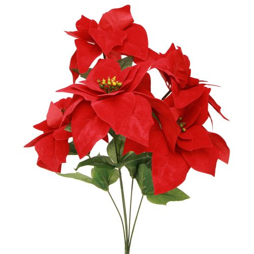 Floristik21 Festlicher Weihnachtsstern künstlich Rot 50cm Deko-Set 2tlg