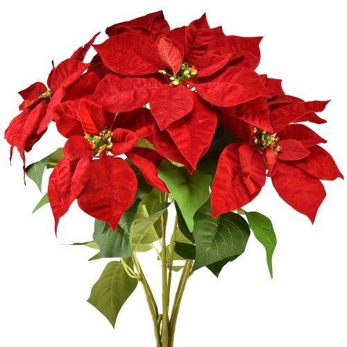 Artikel Weihnachtsstern Künstlich Rot Grün L57cm – Festliche Deko für Gastronomie und Events