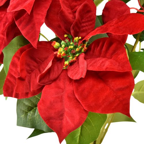 Artikel Weihnachtsstern Künstlich Rot Grün L57cm – Festliche Deko für Gastronomie und Events