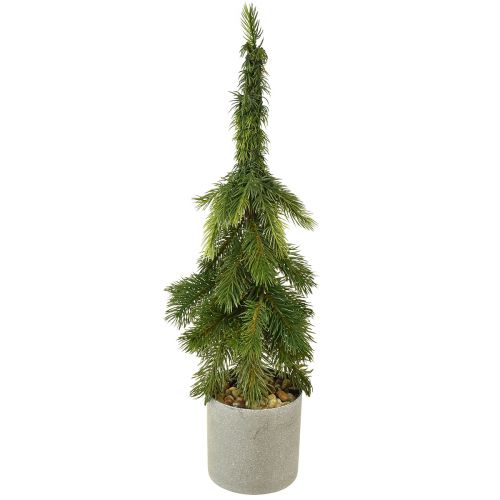 Floristik21 Zipfeltanne Künstlich im Topf - Grüne Weihnachtsbaum-Dekoration 55cm