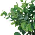 Floristik21 Künstlicher Eukalyptus Zweige Kunstpflanzen Grün 34cm 6St