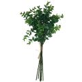 Floristik21 Künstlicher Eukalyptus Zweige Kunstpflanzen Grün 34cm 6St